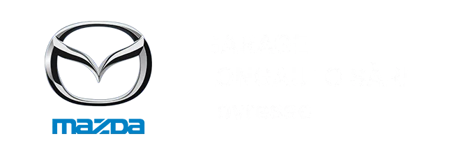 Garage longauto